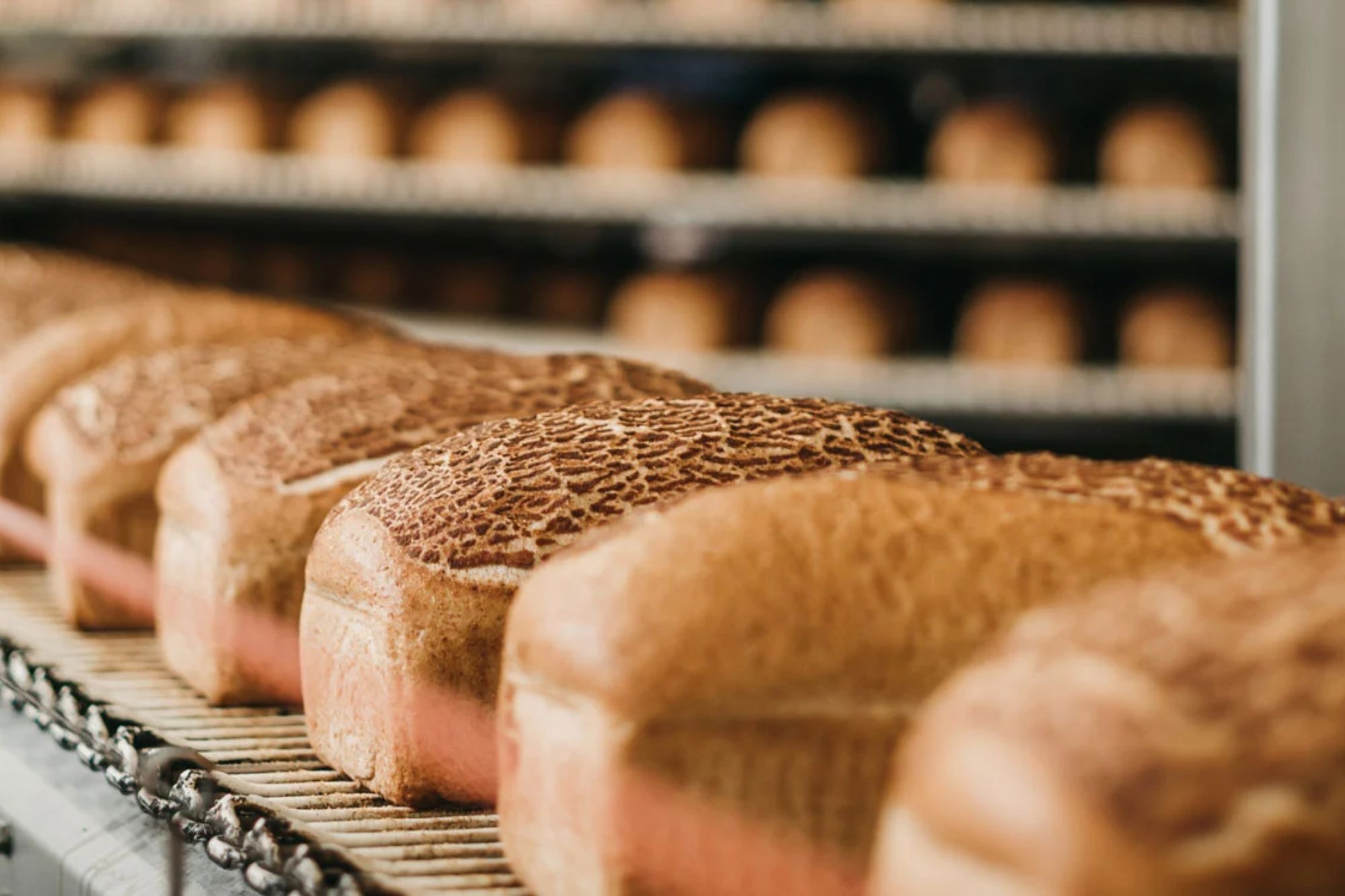 Operatiuni FMCG si Food and Beverage automatizate cu roboti mobili